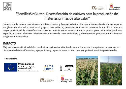 Semillas sin gluten: Diversificación de cultivos para la producción de materias primas de alto valor